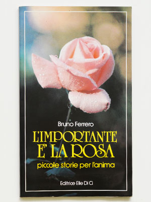 L'importante è la rosa - piccole storie dell'anima poster