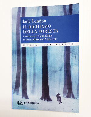 Il richiamo della foresta poster